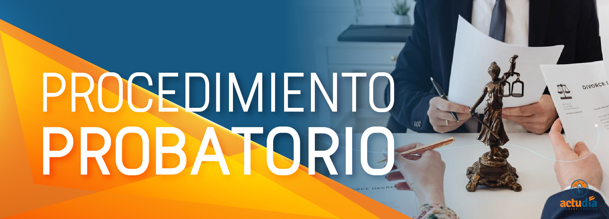 Procedimiento probatorio A-00003